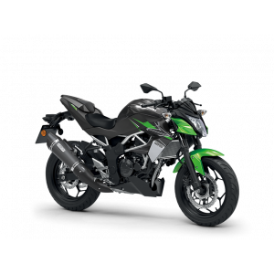 Kawasaki Z125 Performance - 2024